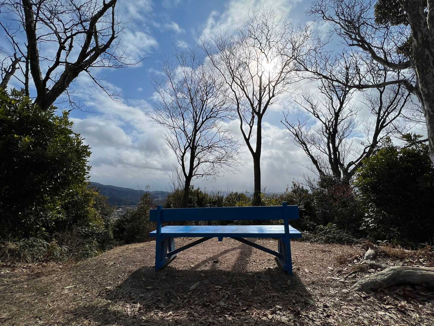 青いベンチ。良い眺め。晴れたし☀️