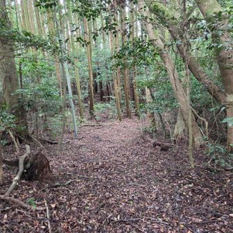 急に山道