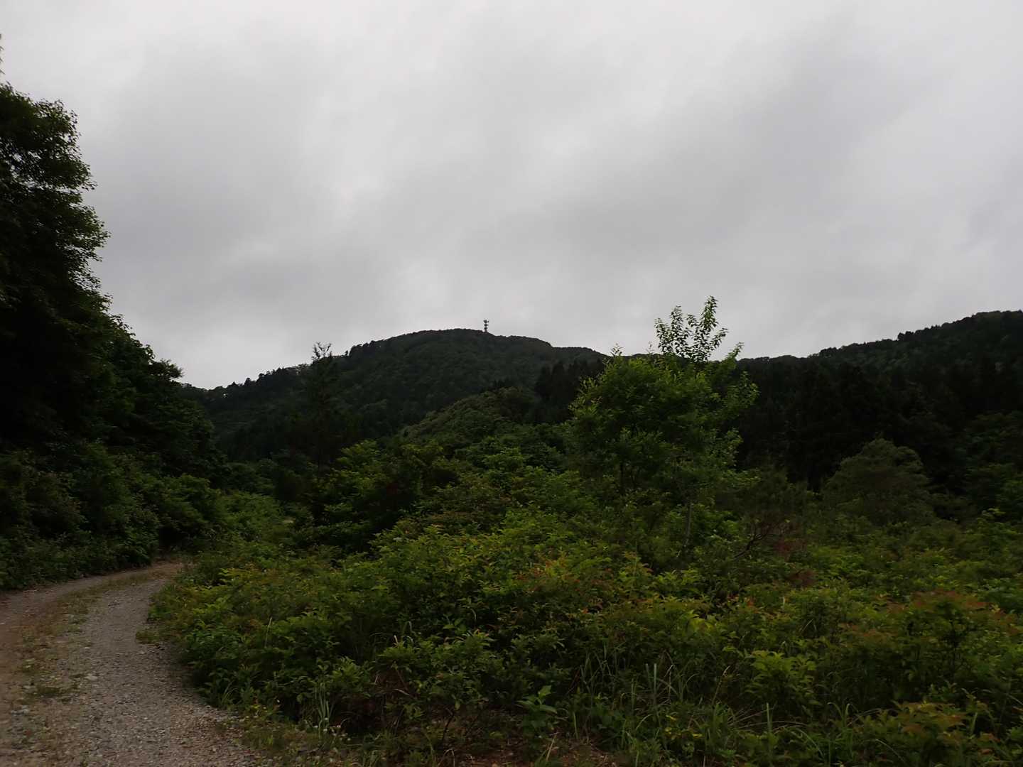 結構登るんですね
行けるかな～
林道は勾配きつい所って砕石の浮石でズルっと滑り登りも下りも歩きずらいですね