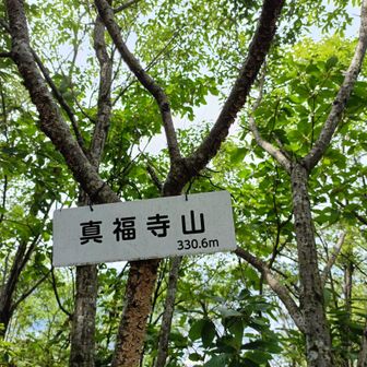 真福寺山 山頂