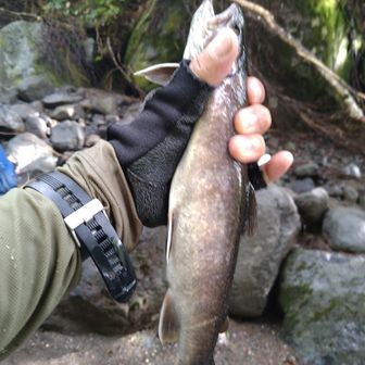 りょう🏞️⛰️🏔️🦆