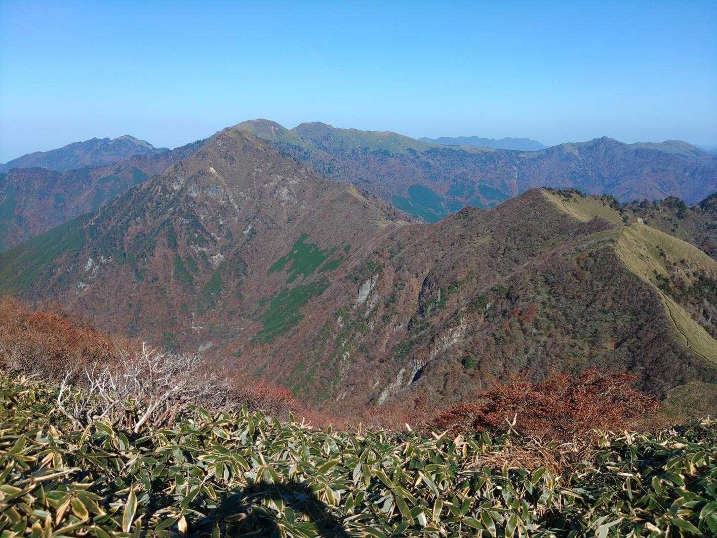 東黒森-伊予富士 往復コースの写真