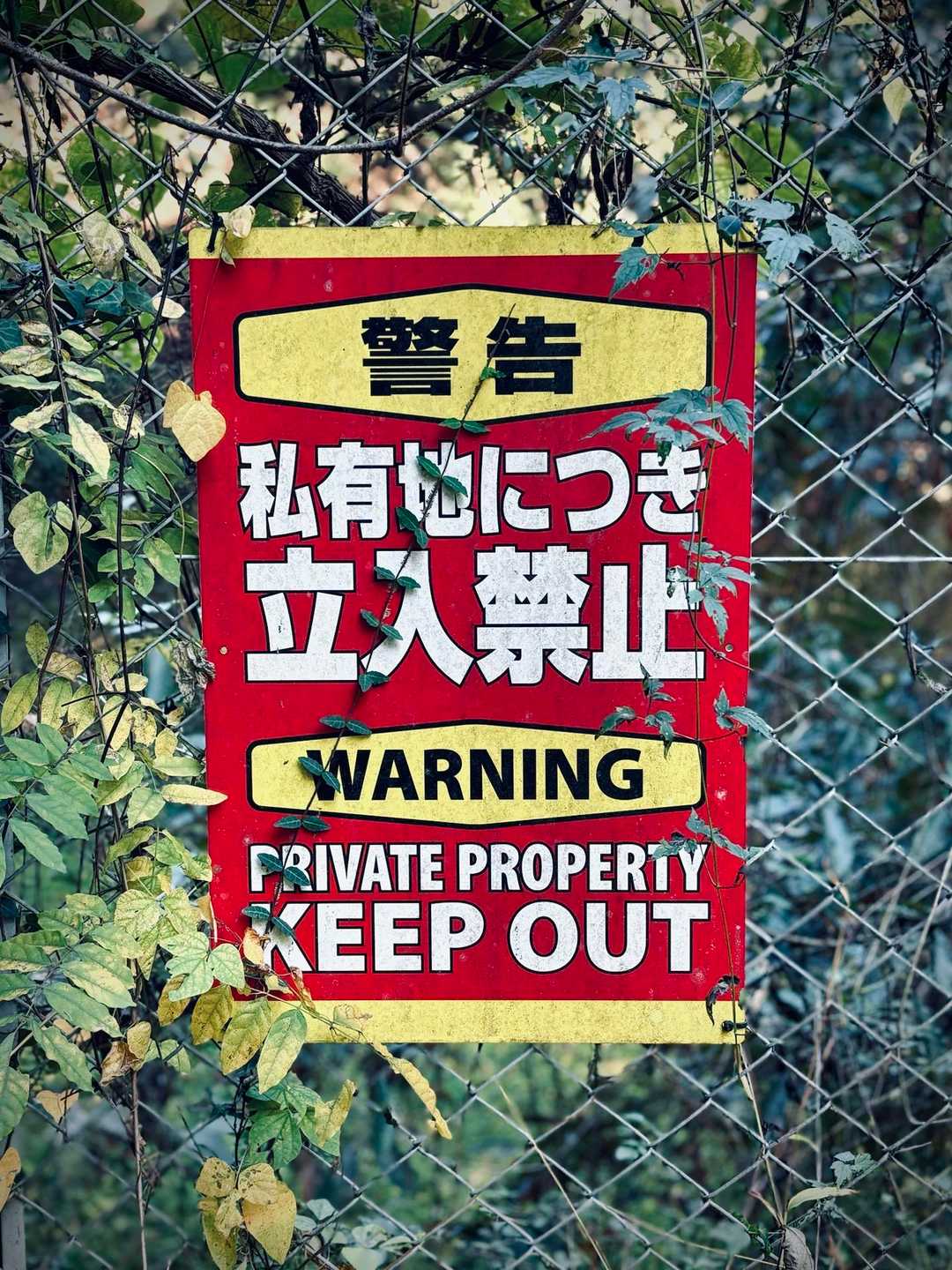 そこそこ
