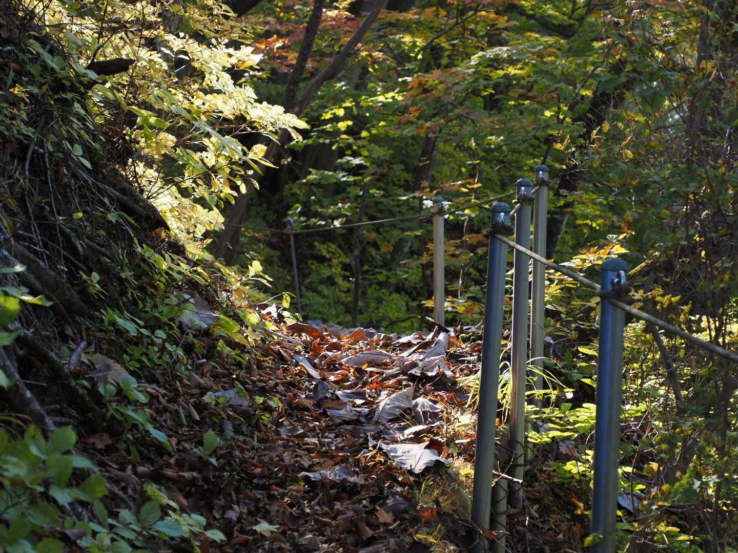 王城山神社-王城山-王城山神社奥宮-赤岩峠-高間山 往復コースの写真