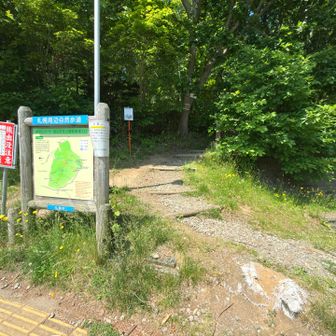 下山ルートで通ってばかりで登るのは1年半振り…
だって長いから