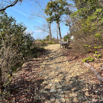 此処でコーヒータイム