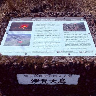 1986年に噴火した溶岩がここまで流れた来たようです。
その時、私は千葉県の館山に住んでいました。
大島の上空が少し赤くなっていた記憶があります。