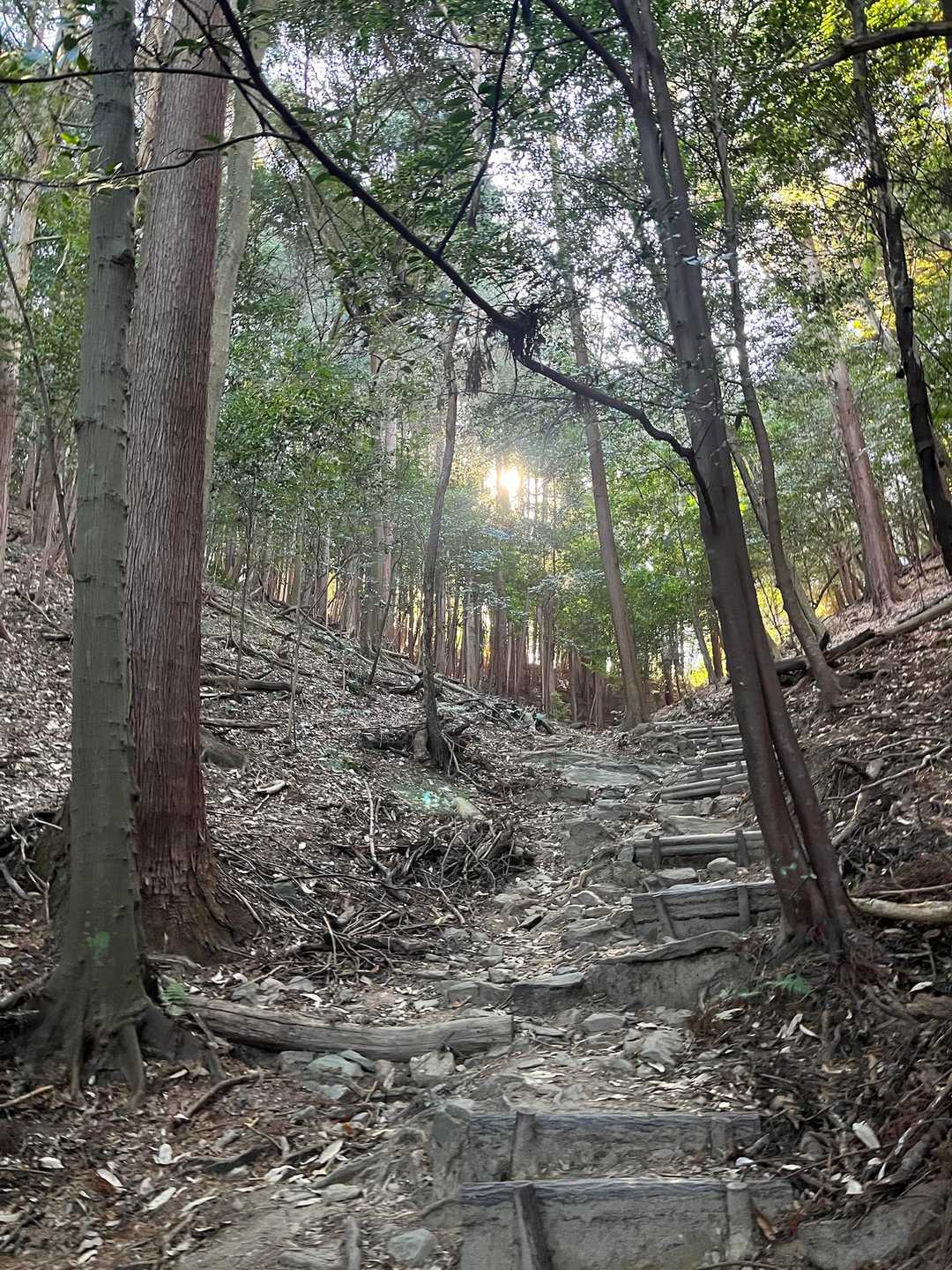 奥殿陣屋ルート登山口-村積山 往復コースの写真