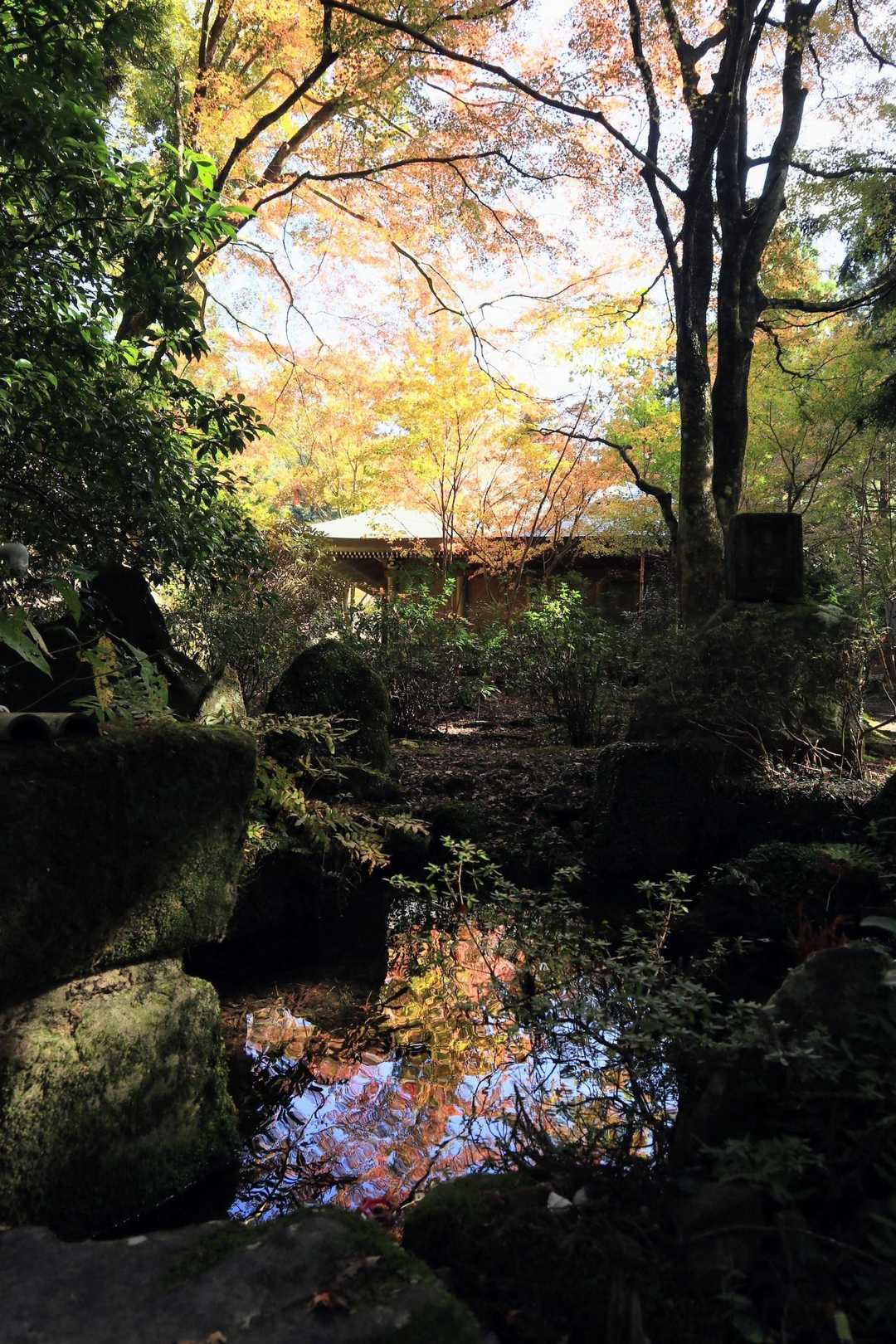 奥の院の紅葉