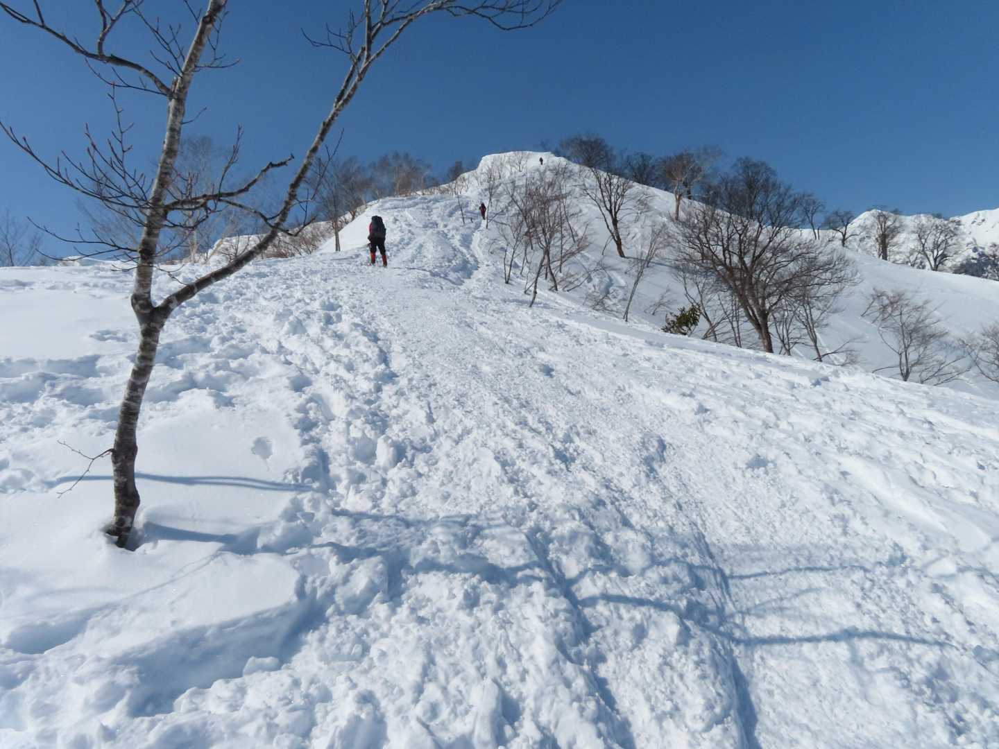ここからは快適な稜線🙂とにかく暑いので上衣は脱ぎます