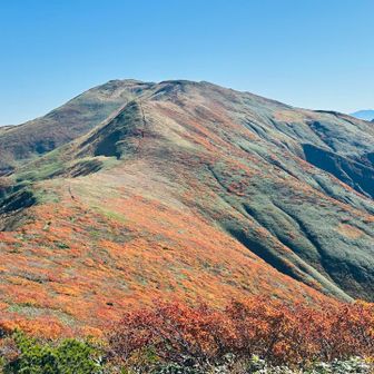 振り返り西朝日岳
