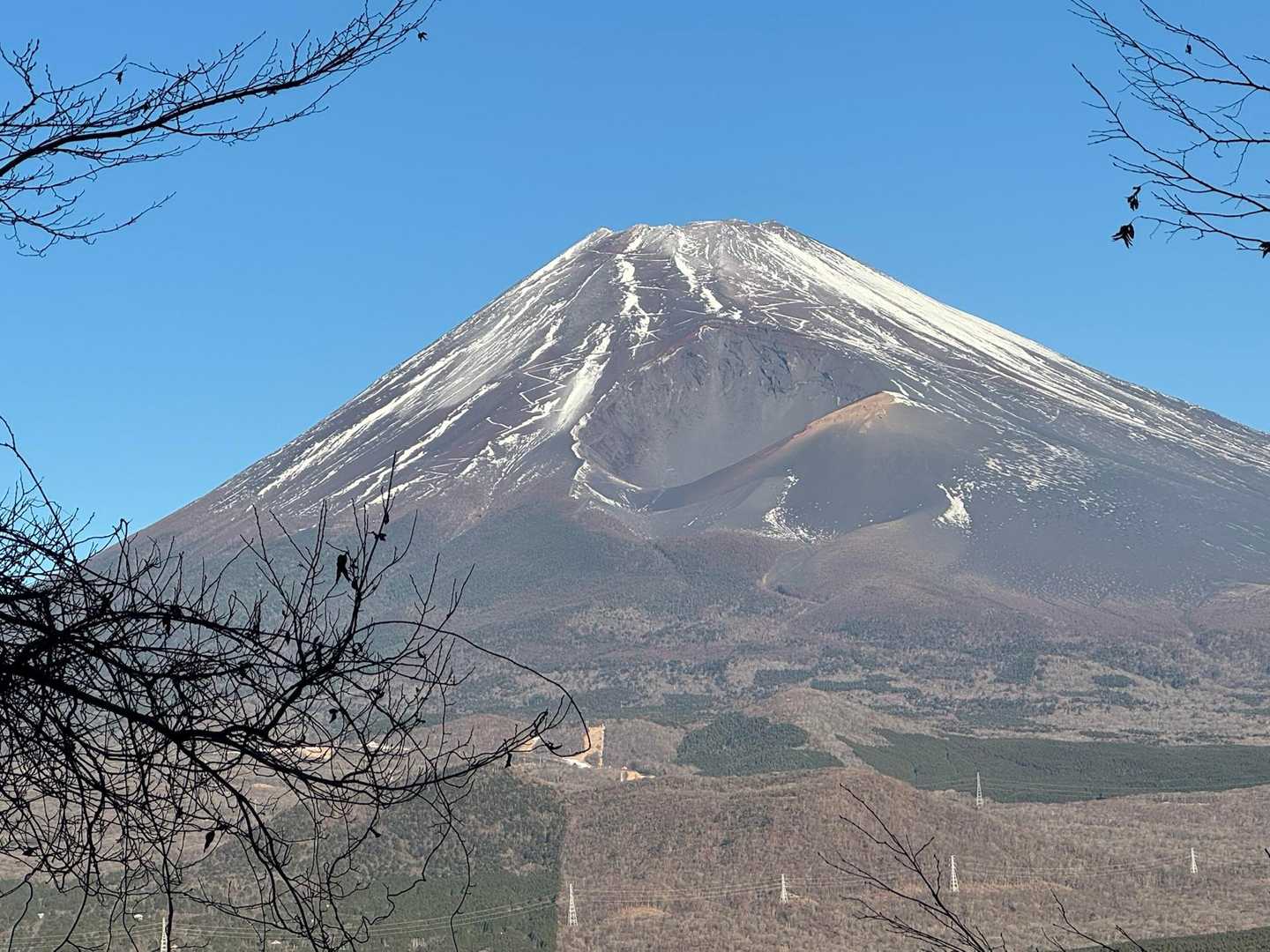今日もいました　彼ドーン💥