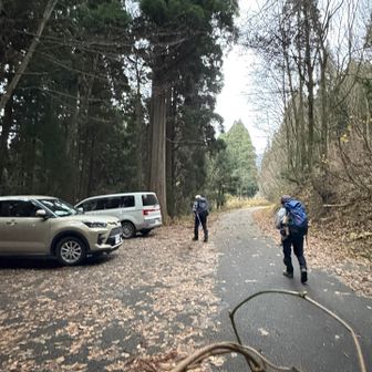 ご同行ありがとうございました😊
私の手にはリースを作ろうと
落ちてたつるを抱えてます〜
クリスマス🎄だもんね〜
