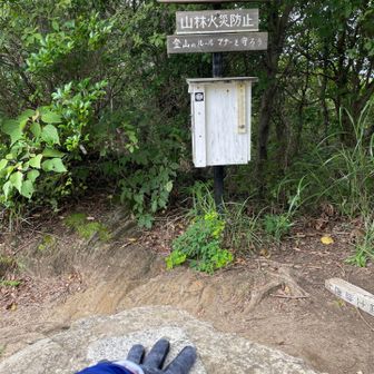 暑いと行きたくなくなる⛰️茶臼山山頂291m