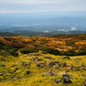 📷️じゃ伝わらない紅葉🍁