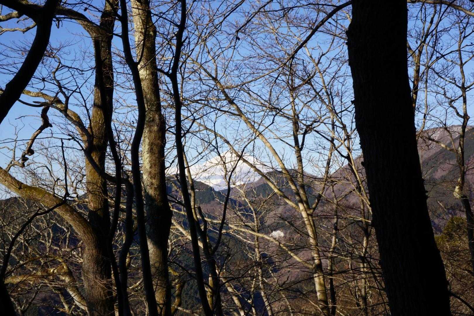 左手は富士山ですよー
ちらっとね
待っててね