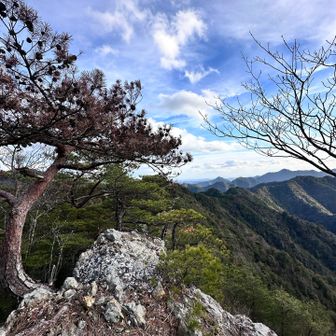 東側の展望台👀