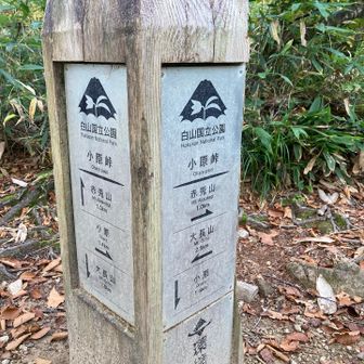 あっという間に峠の分岐