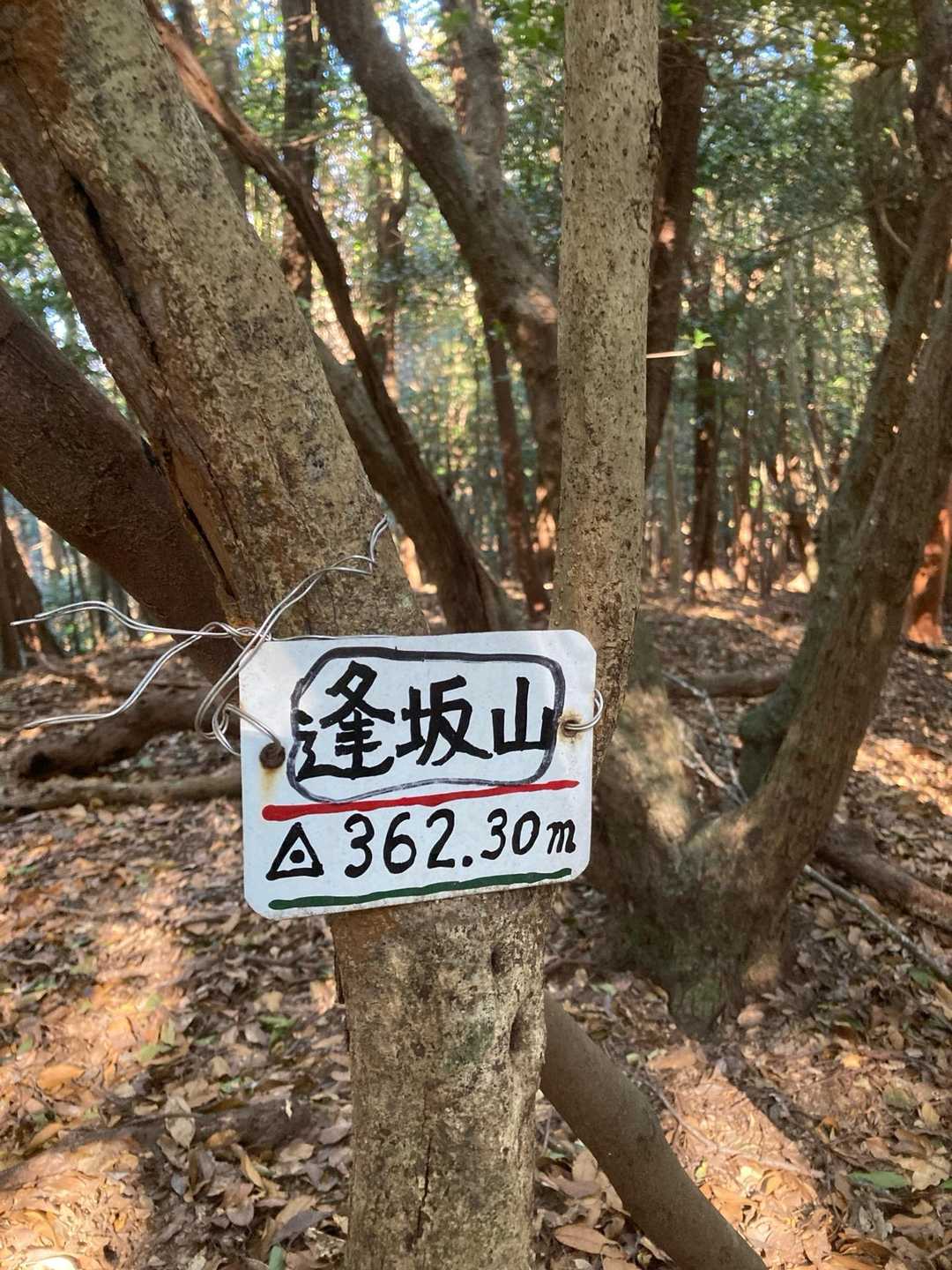 天の岩戸-逢坂峠-逢坂山 往復コースの写真