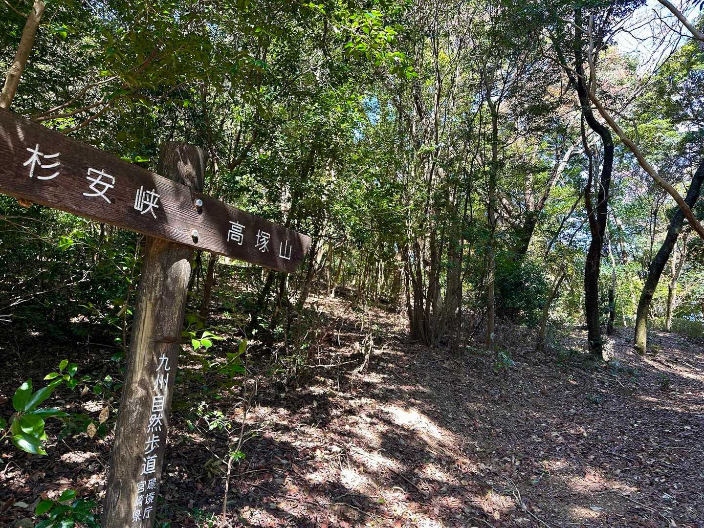 新緑の中を登ります