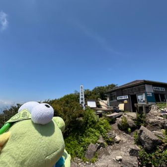うま