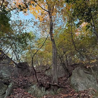 あれ？
意外と楽しいぞ