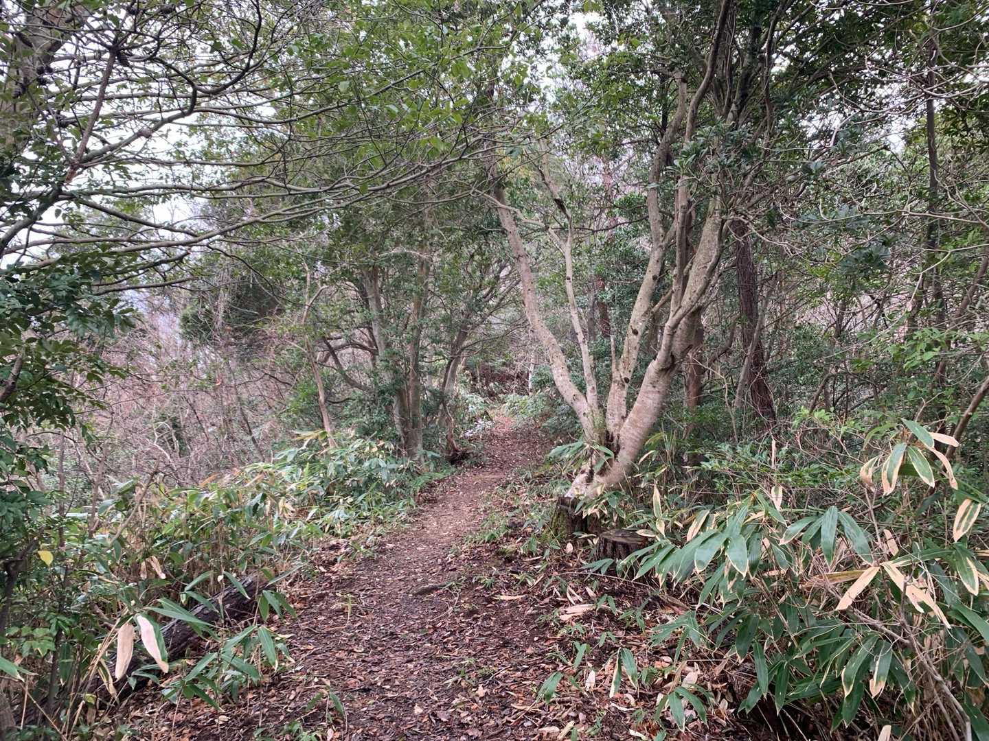 高瀬山登山口-高瀬山 往復コースの写真