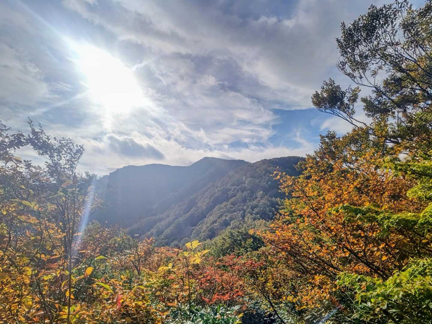 晴れてきました