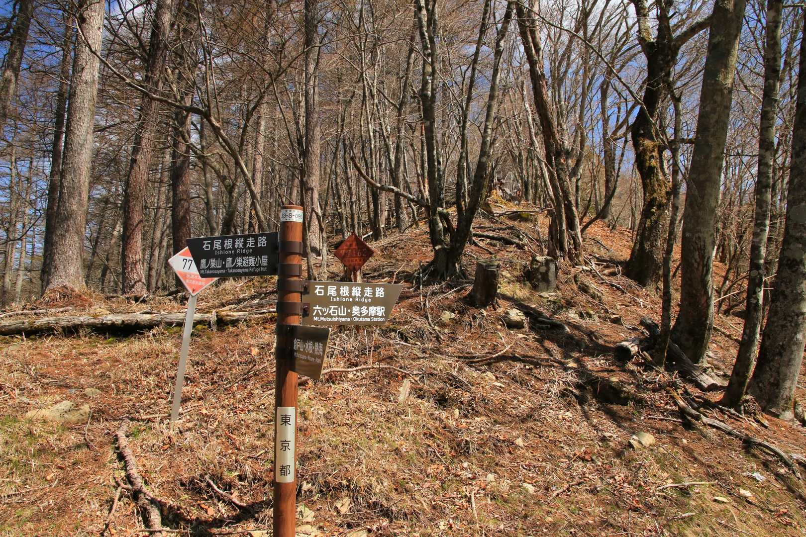 鷹ノ巣山-水根山-城山-十二天山-絹笠山-六ツ石山・石尾根 縦走コースの写真