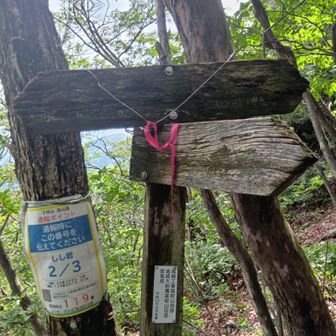 往路、屏風岩から獅子岩へ。
獅子岩への分岐。