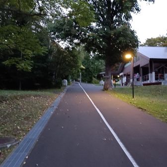さてスタート、空が白いのは夜明け直後だからなのか曇ってるのか...