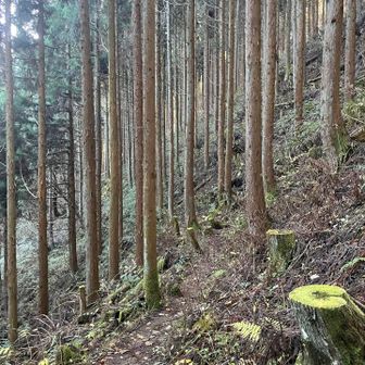 マツバカケ尾根へ😃