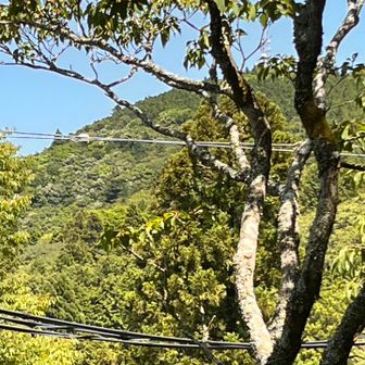風のテラスからの展望
山頂のテレビ塔が見える
幸吉はここからの景色を写真にしたのか