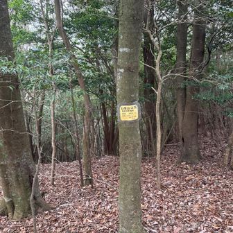 祠の所に山頂標識。😳
