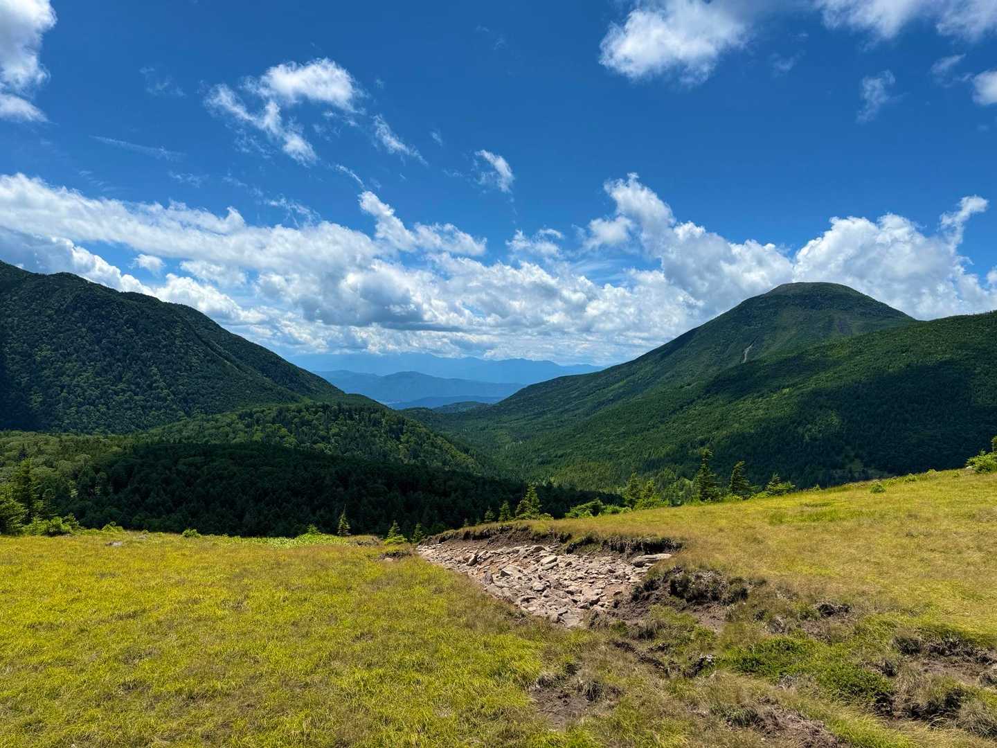 それがコレ。左が北横岳、右が蓼科山です。