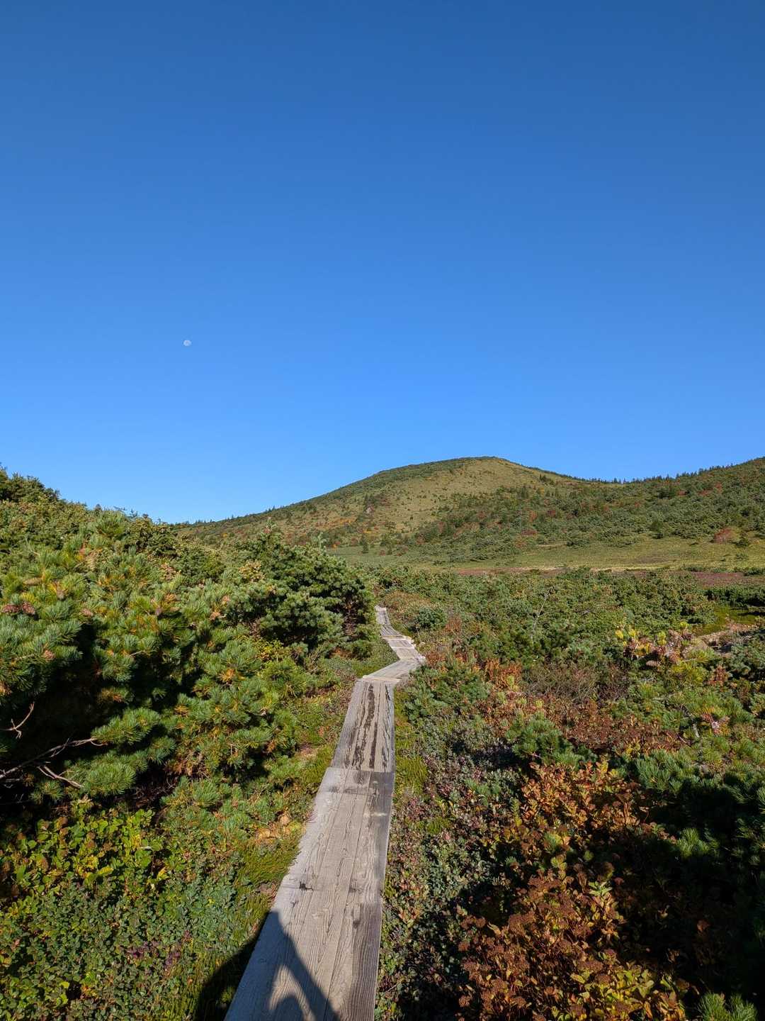 浄土平ビジターセンター-東吾妻山 周回コースの写真