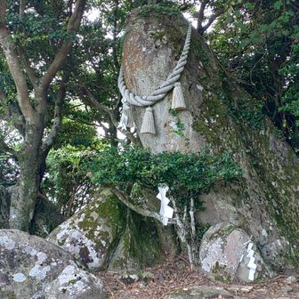 元の世界に戻れんかも…