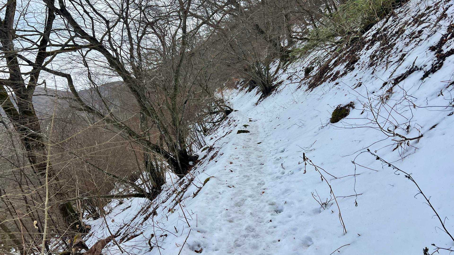 雪があるぞ