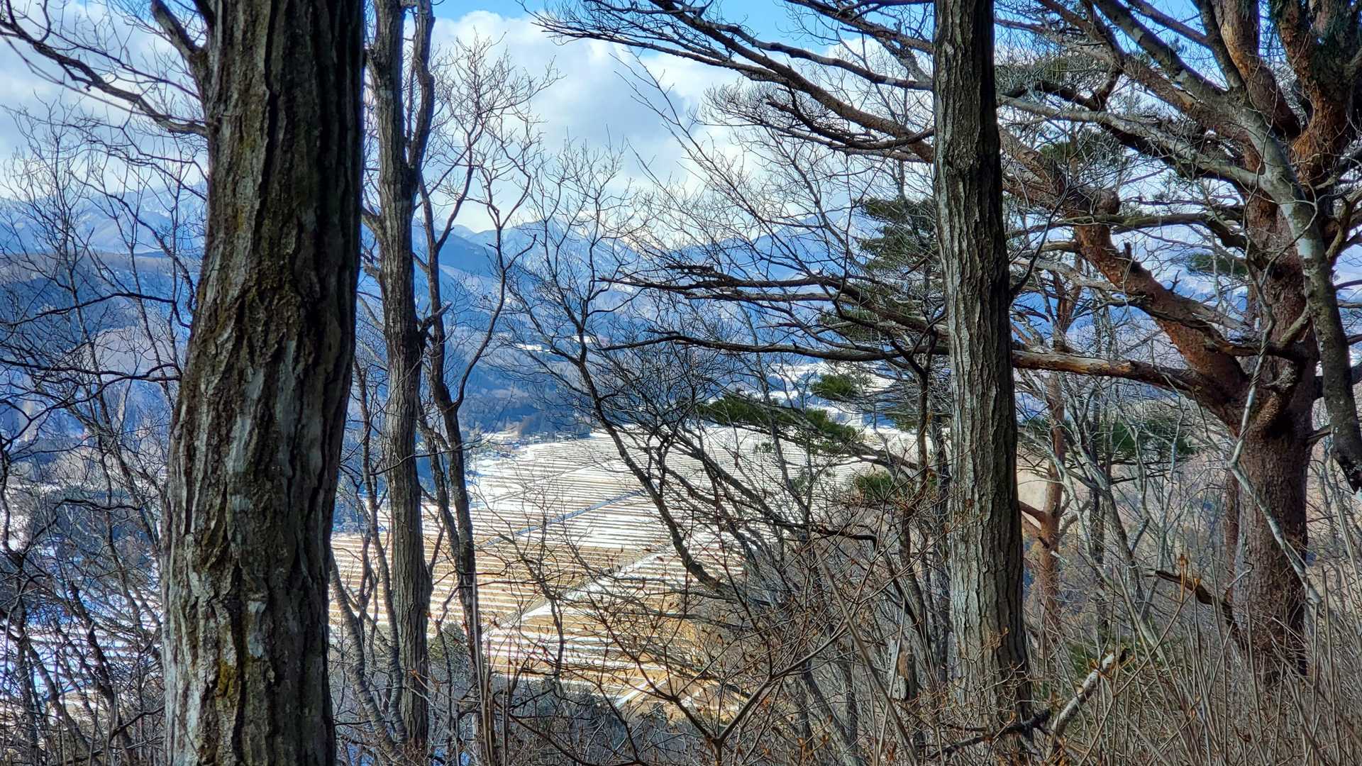 木々の隙間から長袋地区の田園風景が見えてます。愛子から秋保に移動してきたなー。
を実感(*´-`)ﾎﾞｰ