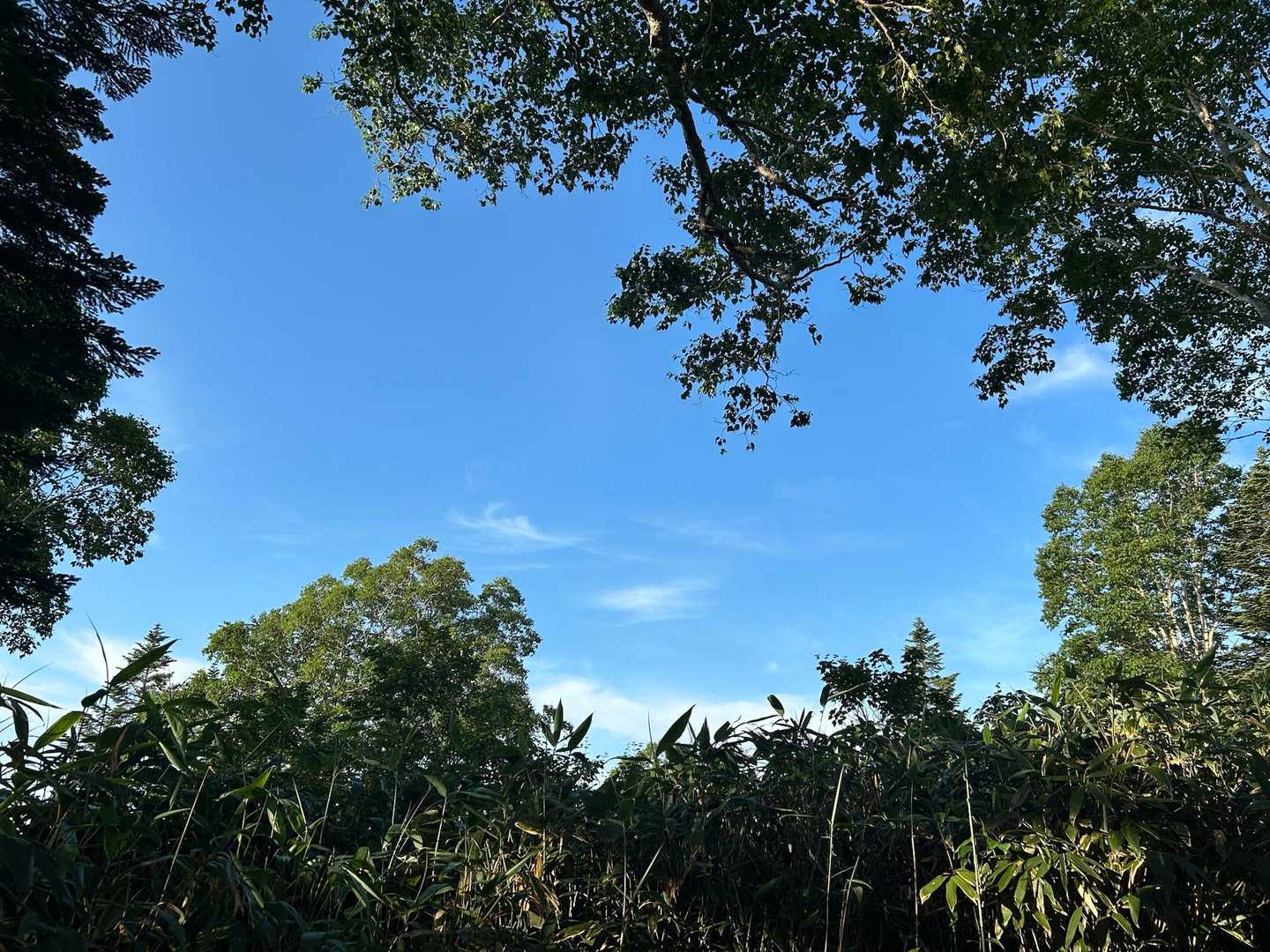 今日も青空。
