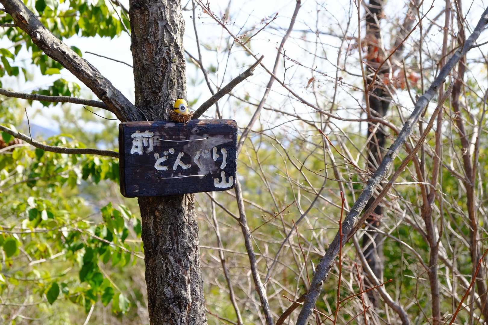 槍どんぐり山 往復コースの写真