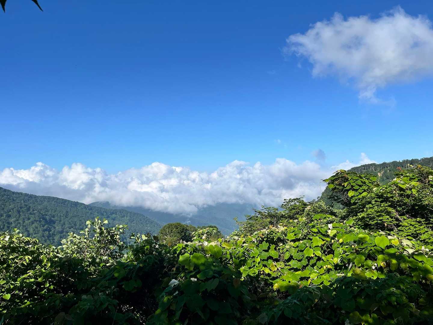 青空💙嬉しい☺️