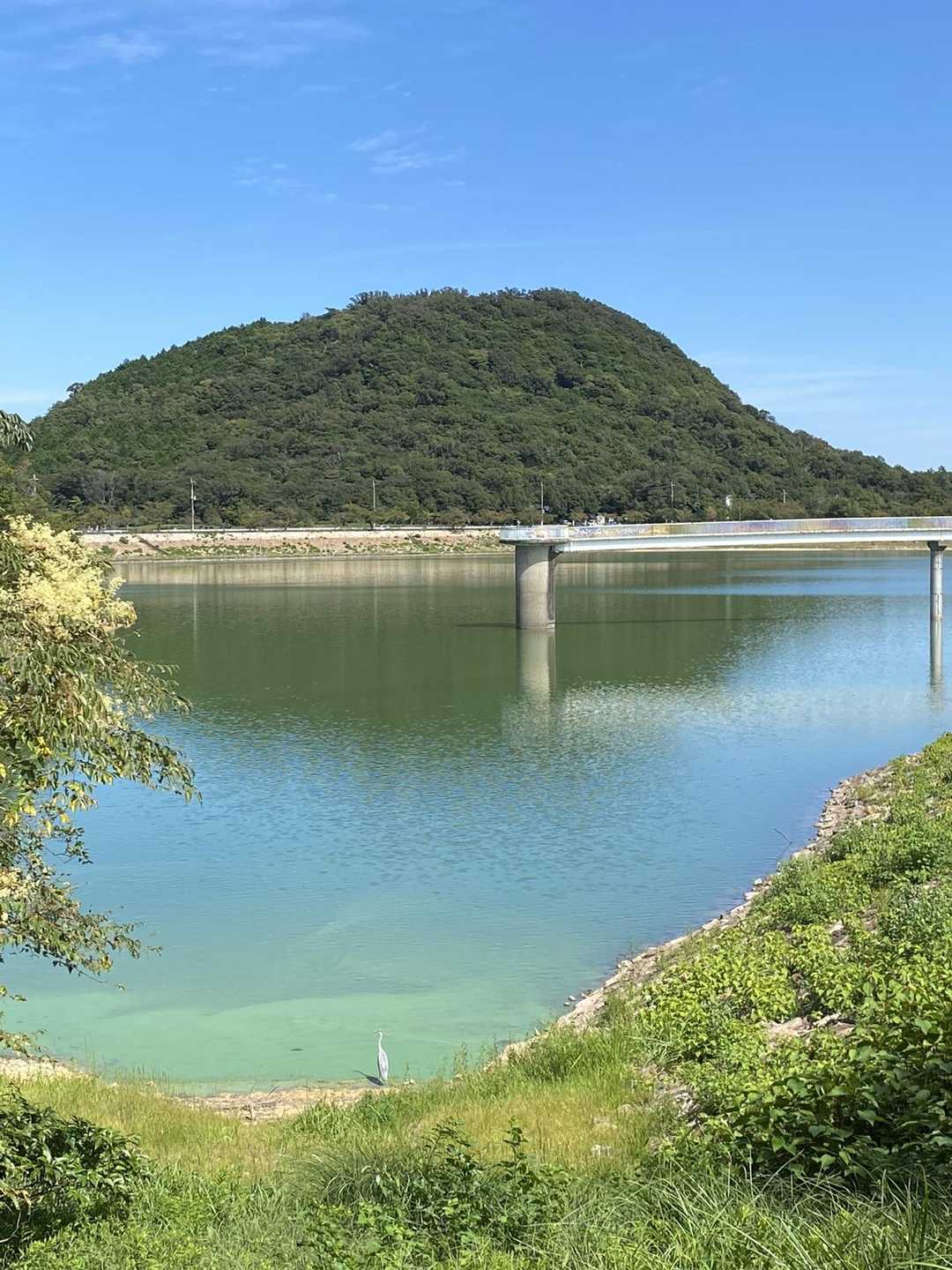 いつもここから📸…ん？先約さんがいてましたか🦢😍