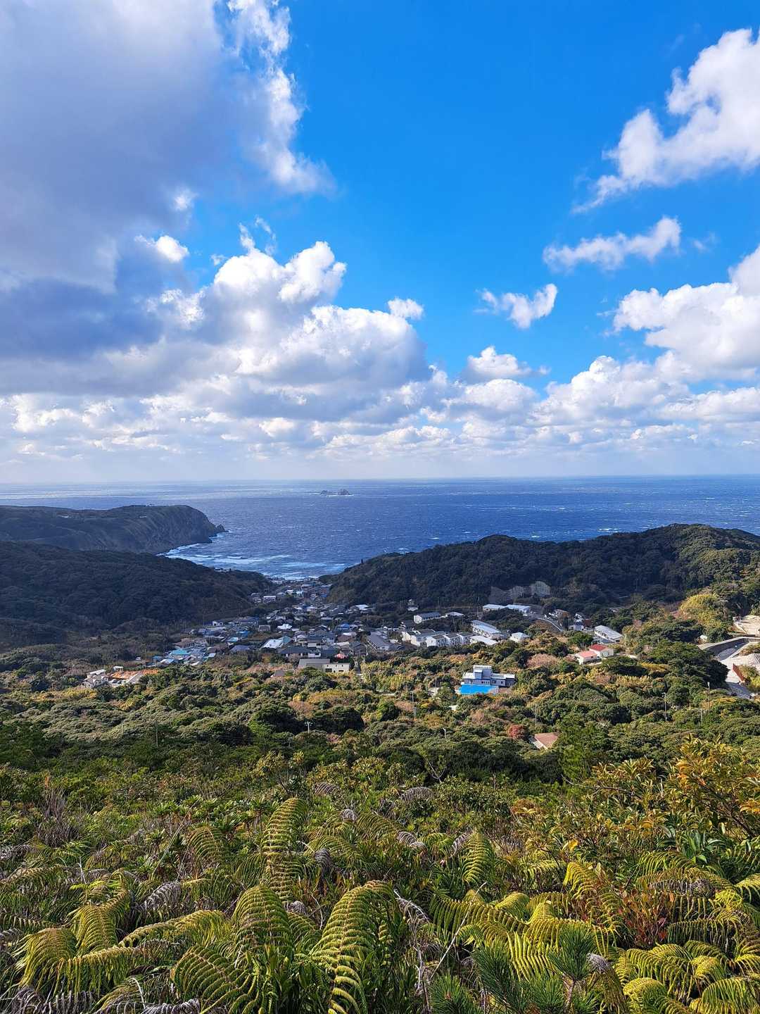 神津島港側が見えてきました