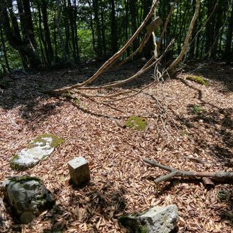新穂谷山頂上　四等三角点　新穂　1,039.84m