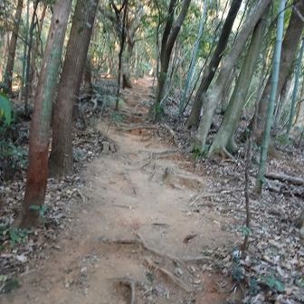 我ながら、よく見つけたなぁ～🤭