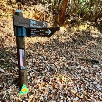 道標の下に可愛らしいものが