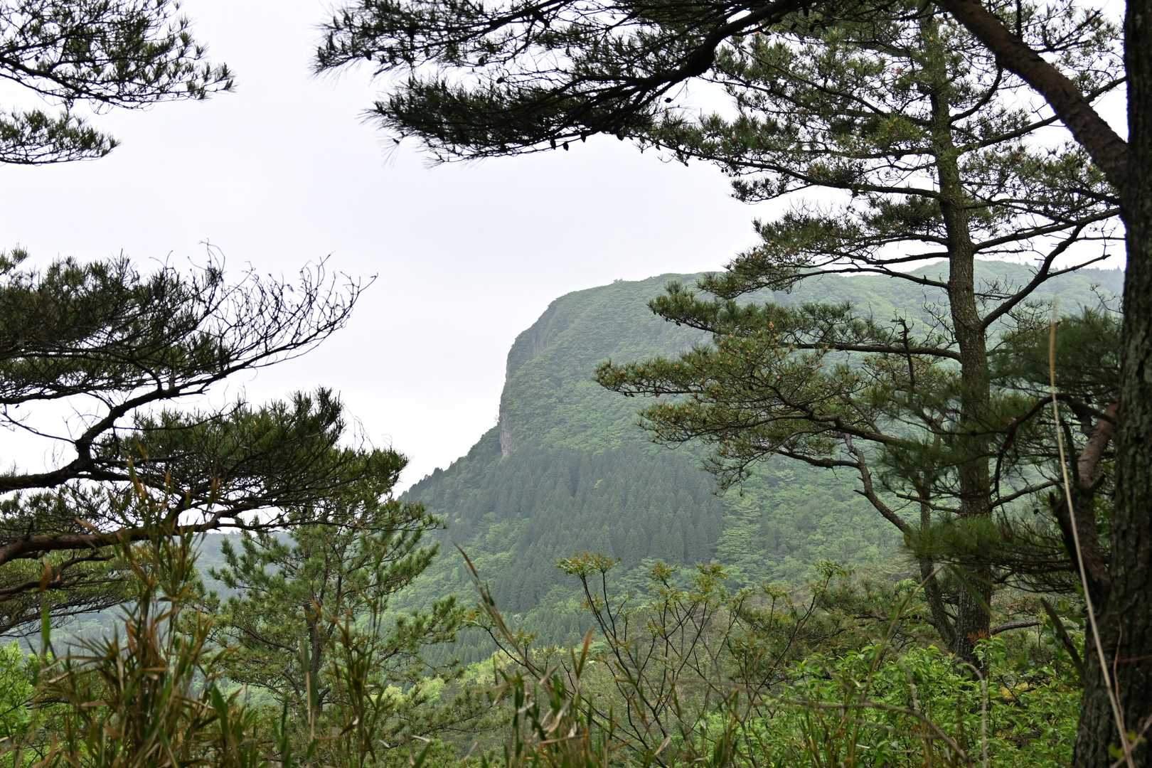 特徴的⛰️