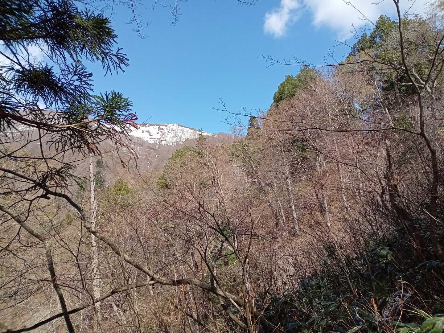 山頂かな？