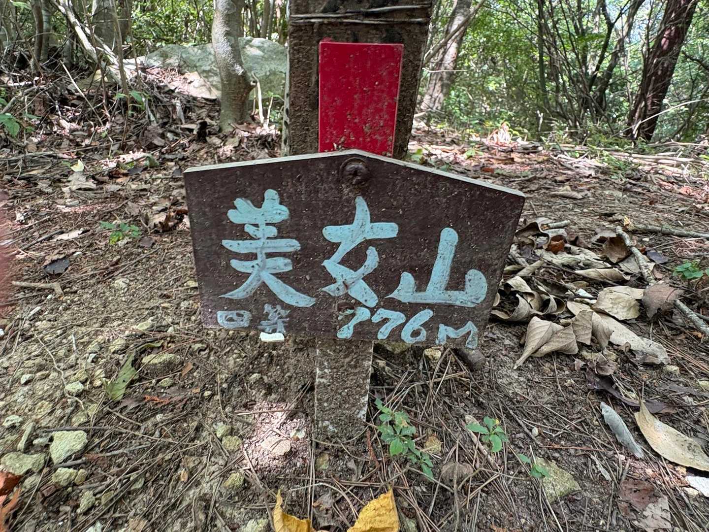 相栗峠-鷹林山-竜王山 往復コースの写真